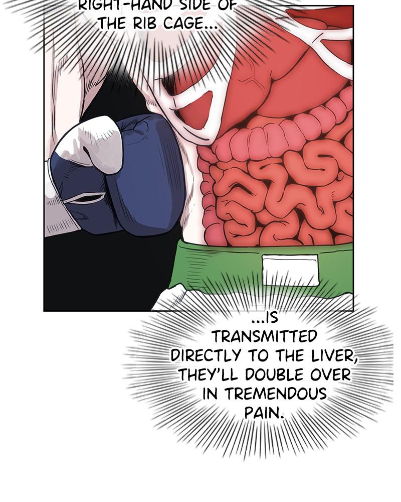 Read The Boxer Manga Online