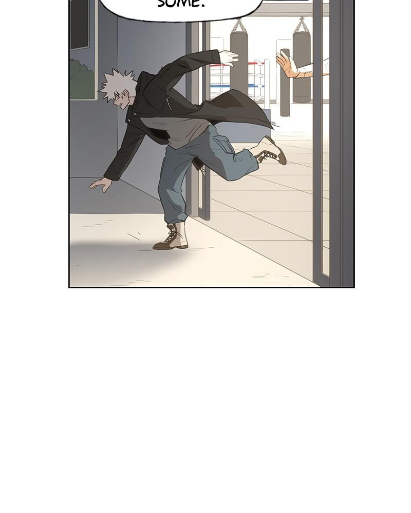 Read The Boxer Manga Online