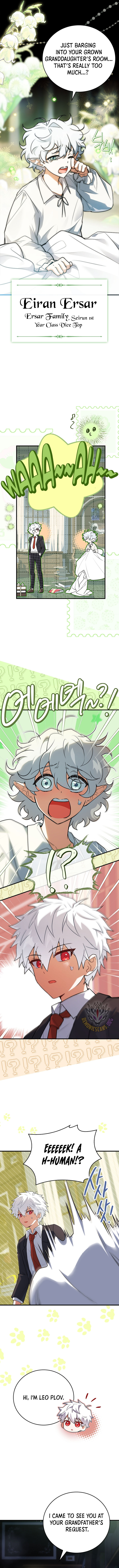 Read The Legendary Hero Is an Academy Honors Student Manga Online