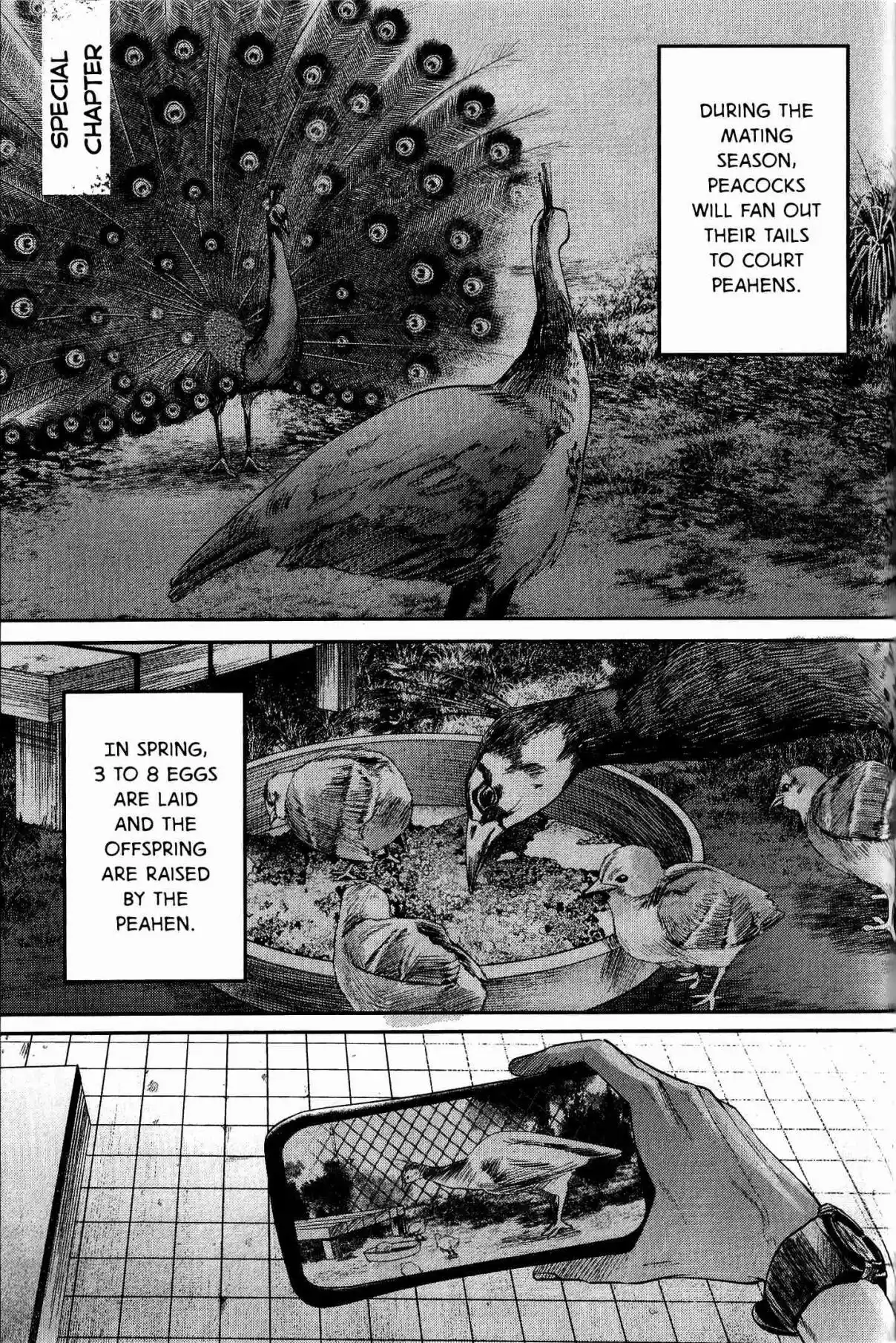 Read The Summer Hikaru Died Manga Online