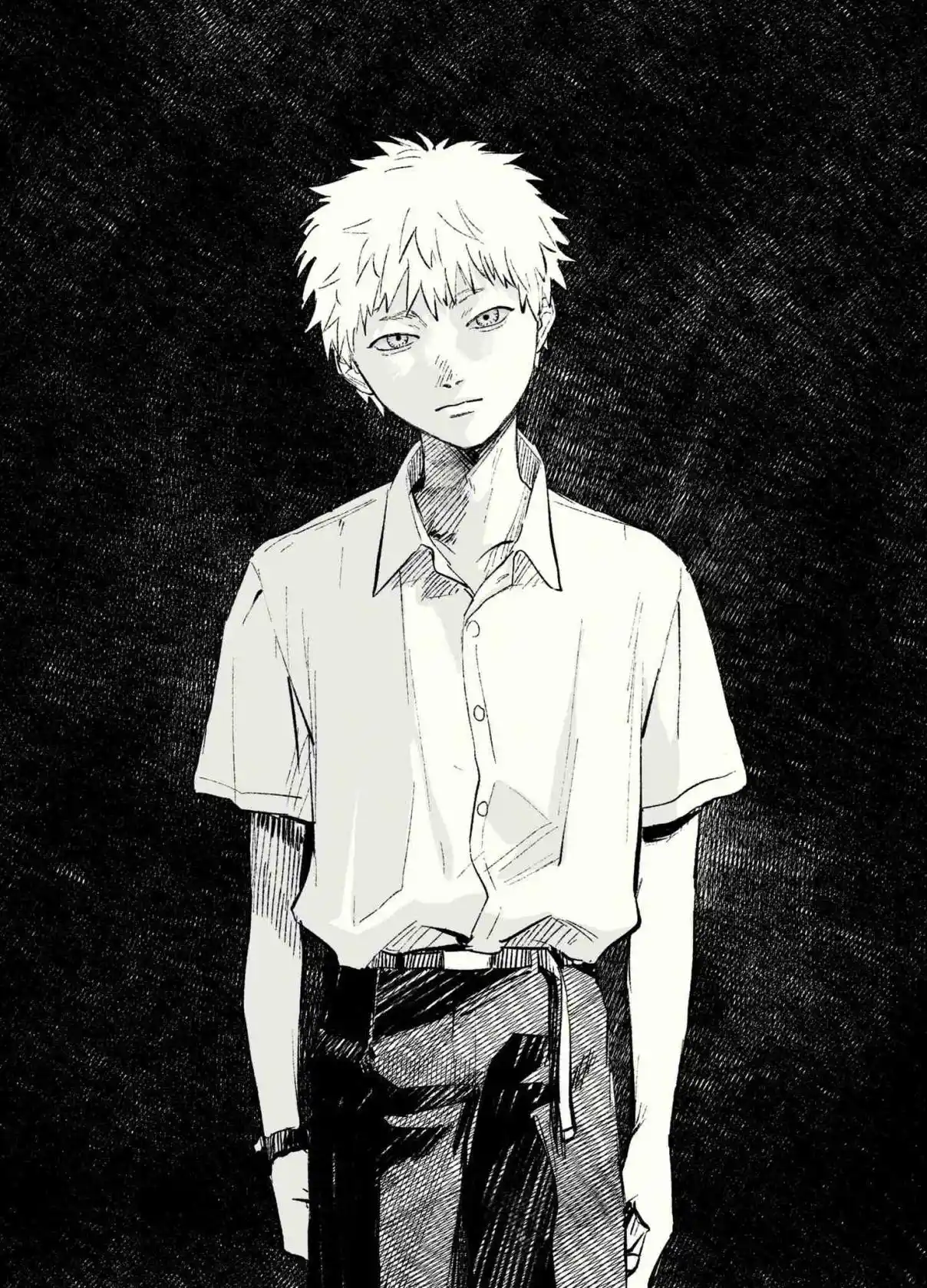 Read The Summer Hikaru Died Manga Online