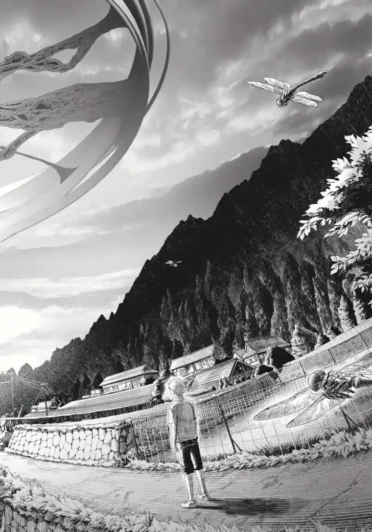 Read The Summer Hikaru Died Manga Online