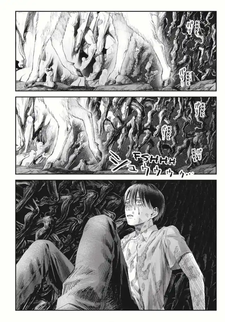 Read The Summer Hikaru Died Manga Online