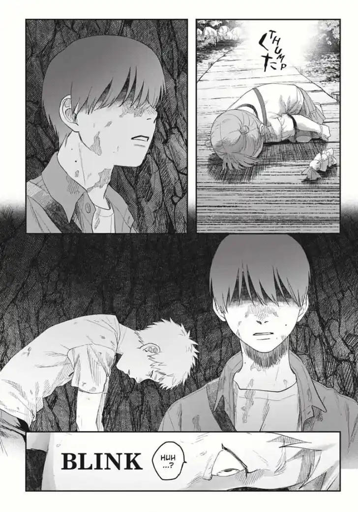 Read The Summer Hikaru Died Manga Online