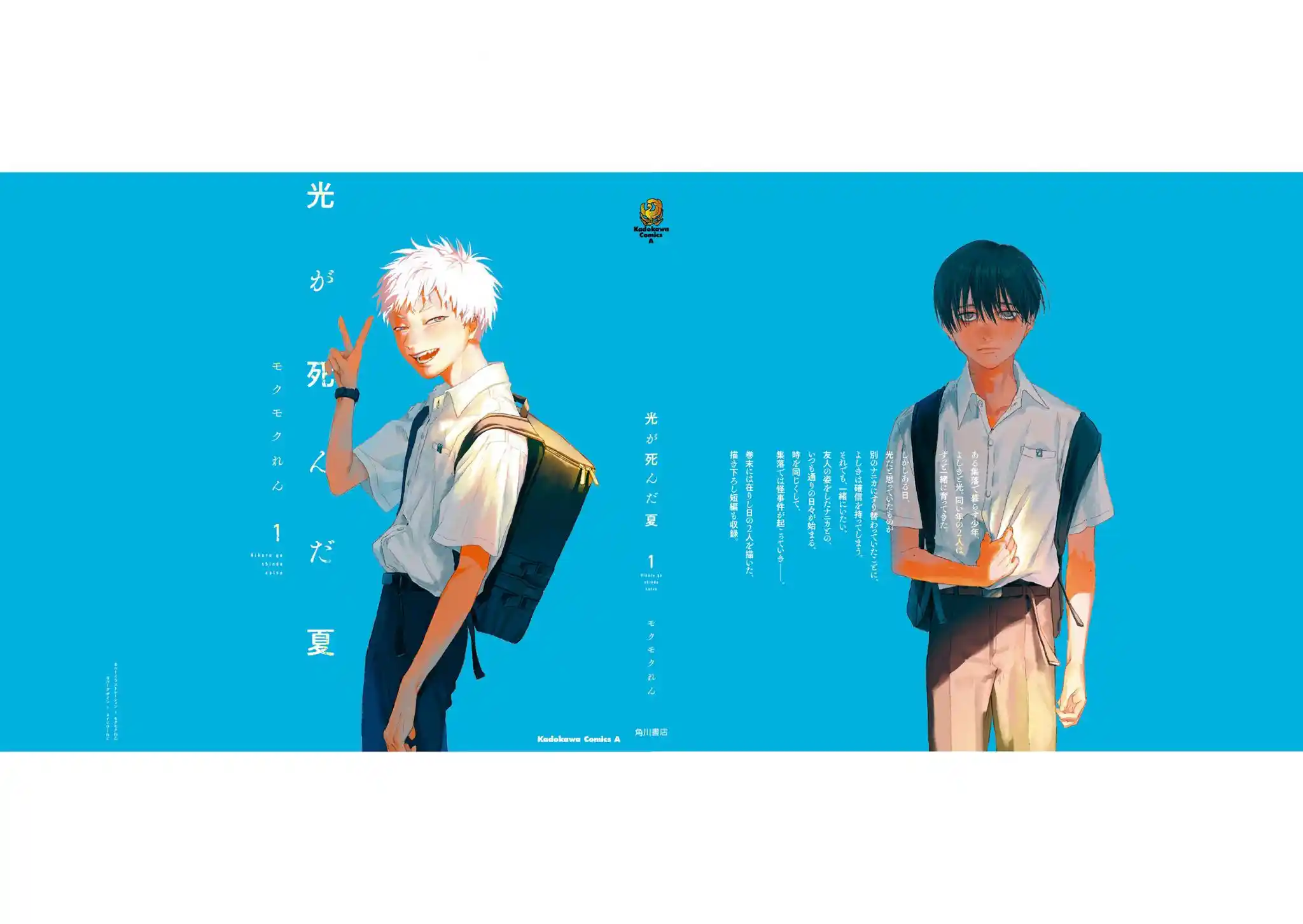 Read The Summer Hikaru Died Manga Online