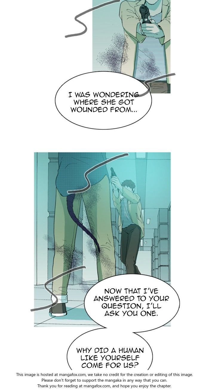 Read Witch Hunt Manga Online