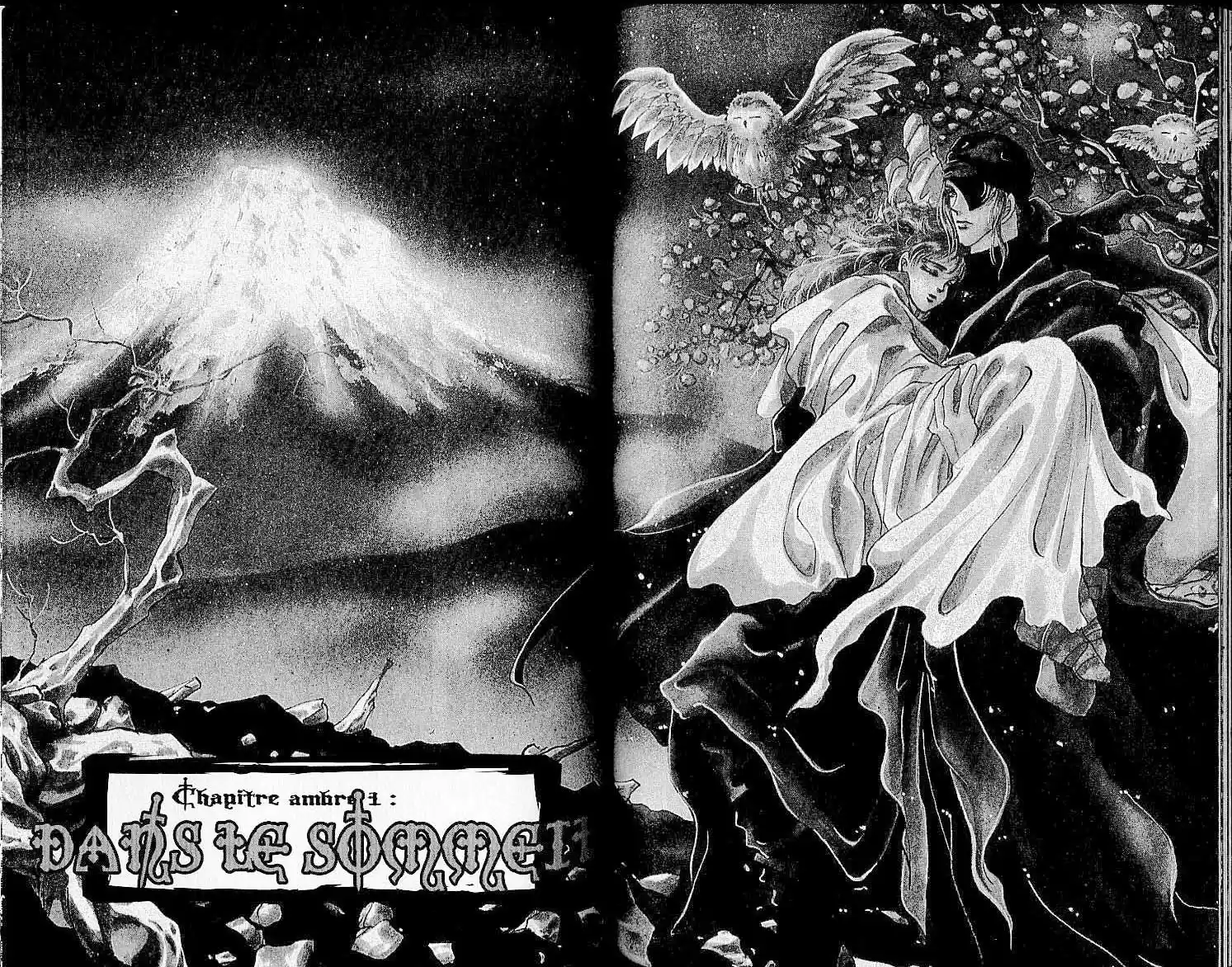 Read Basara FR Manga Online