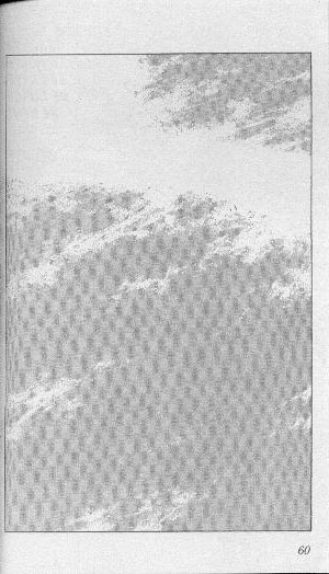 Read Captain Tsubasa FR Manga Online