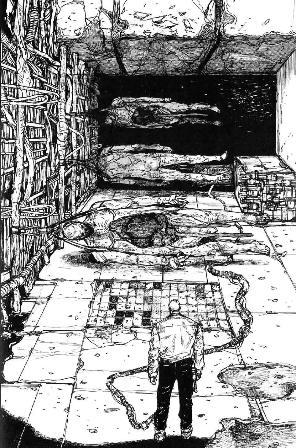 Read Dorohedoro FR Manga Online