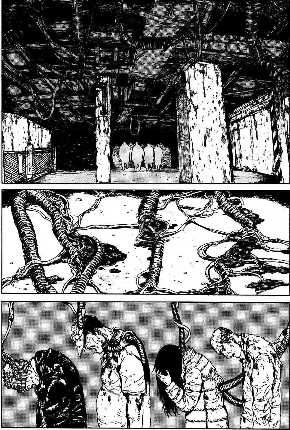 Read Dorohedoro FR Manga Online