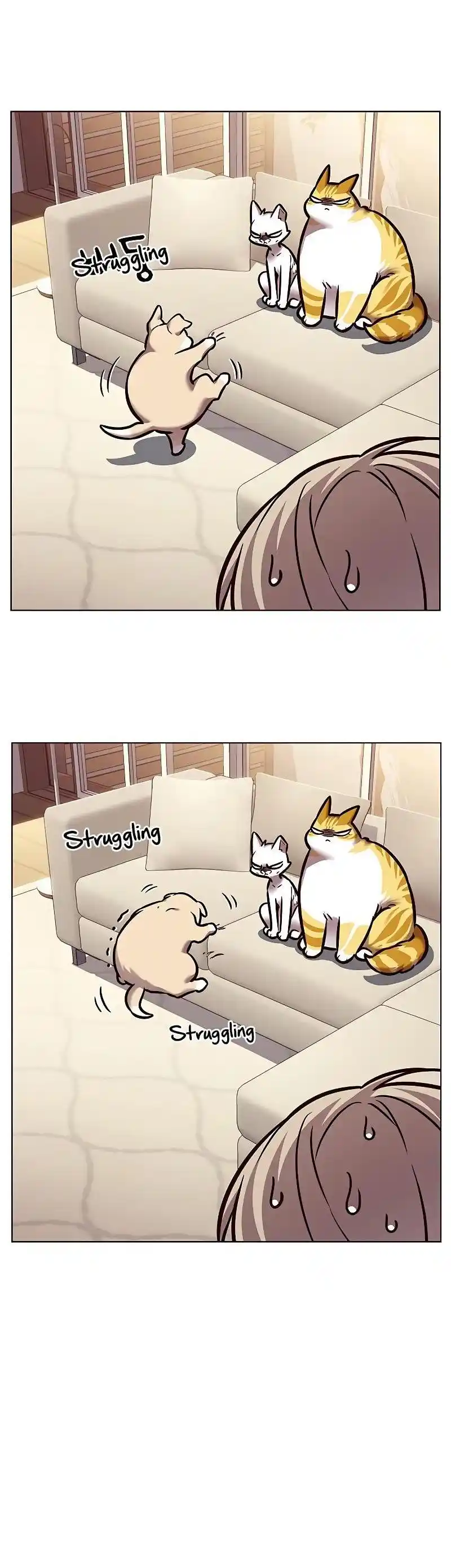 Read Eleceed fr Manga Online