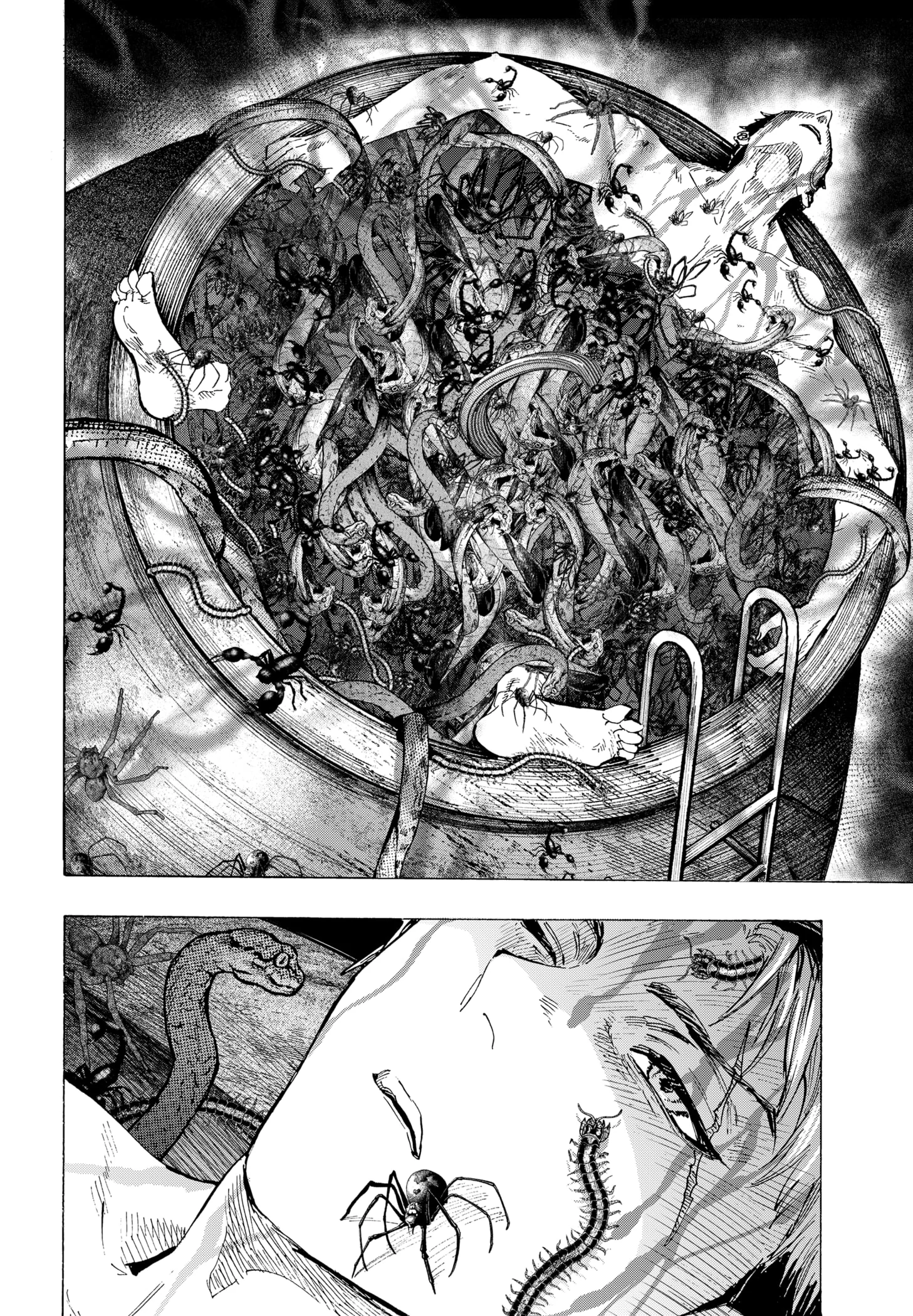 Read Marriagetoxin FR Manga Online