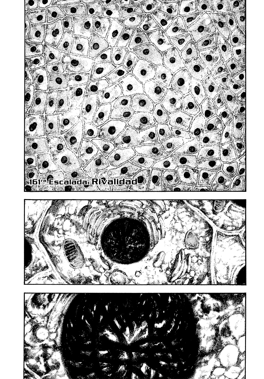 Read The Climber ES Manga Online