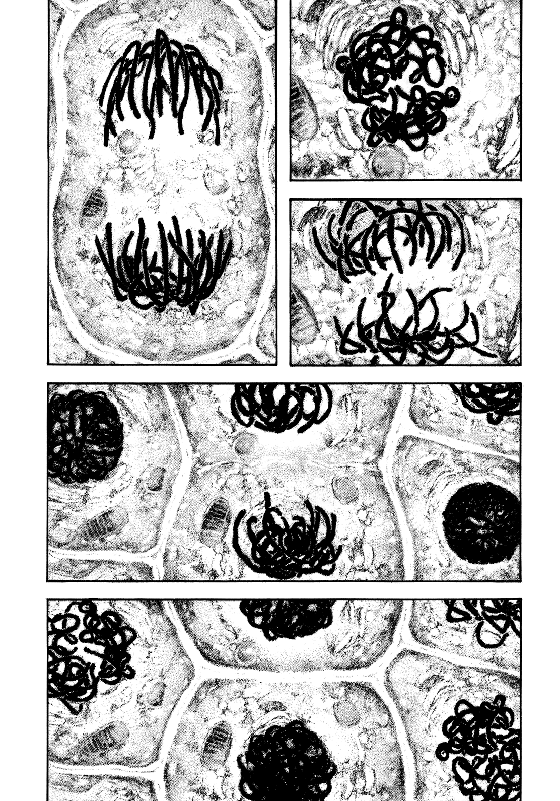 Read The Climber ES Manga Online