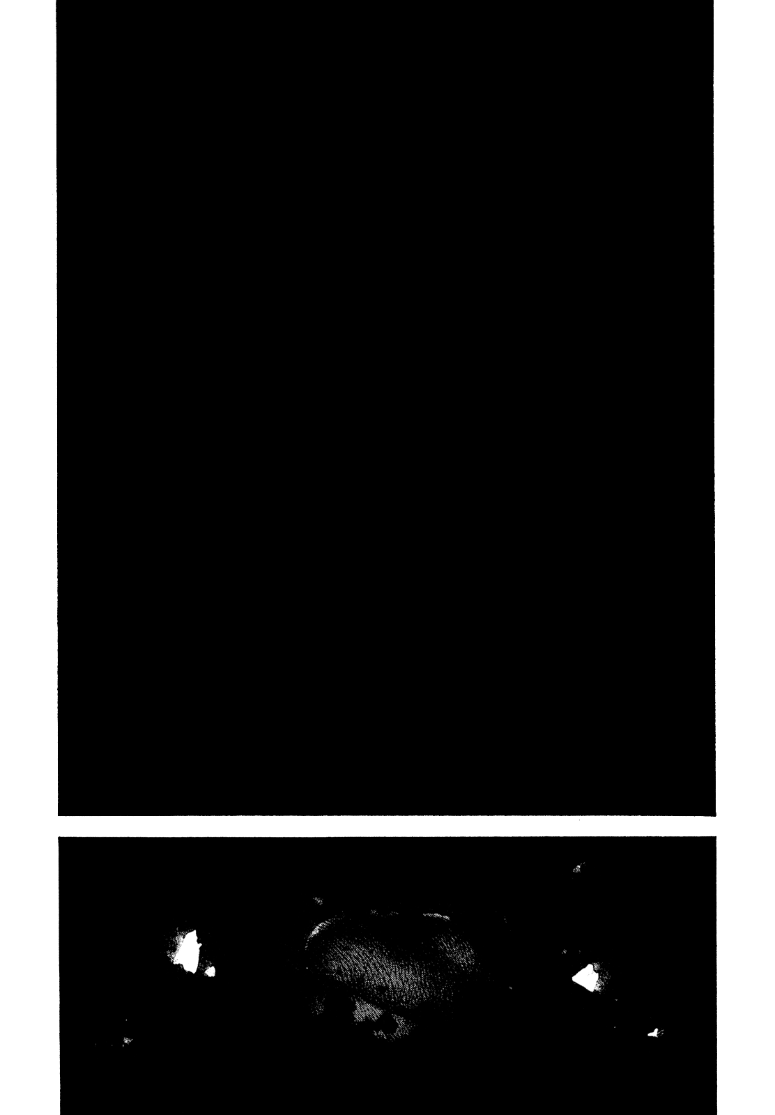 Read The Climber ES Manga Online