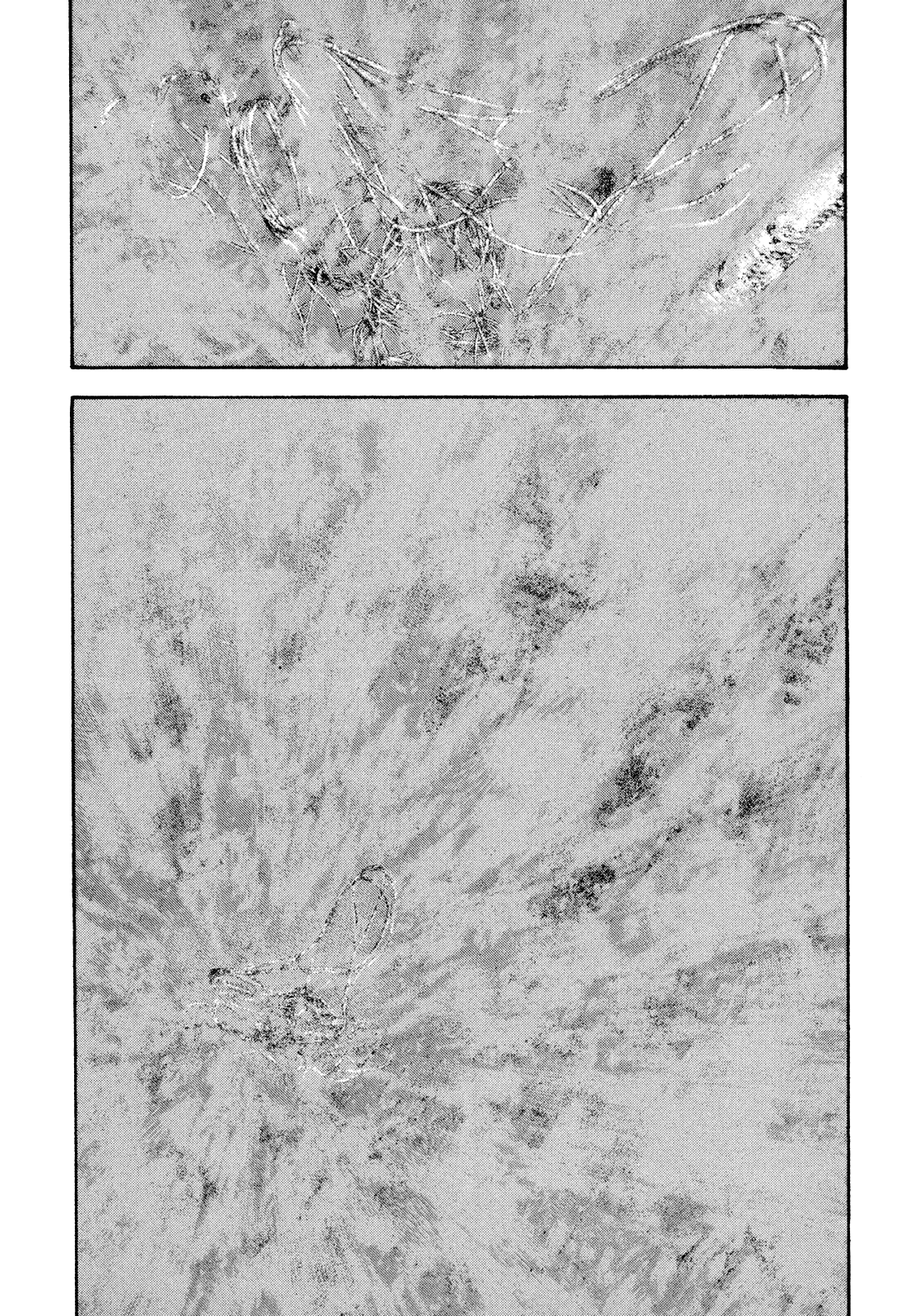 Read The Climber ES Manga Online