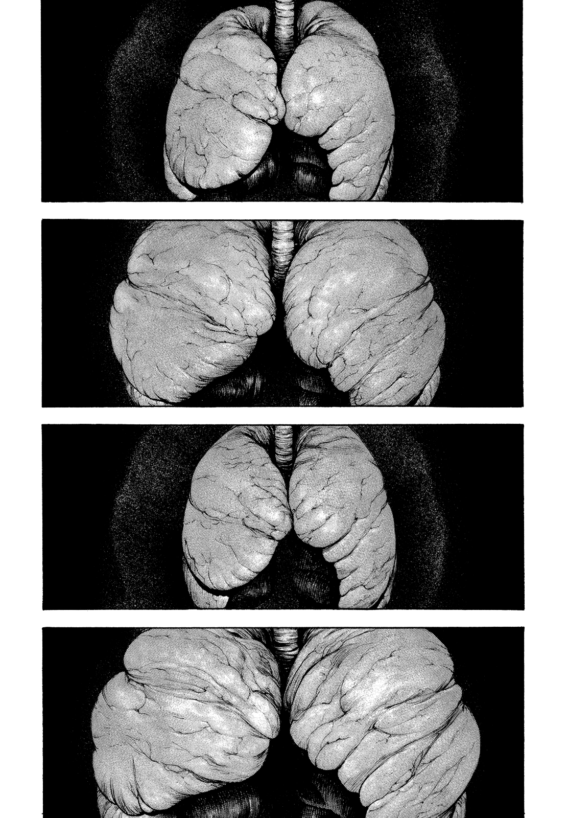 Read The Climber ES Manga Online