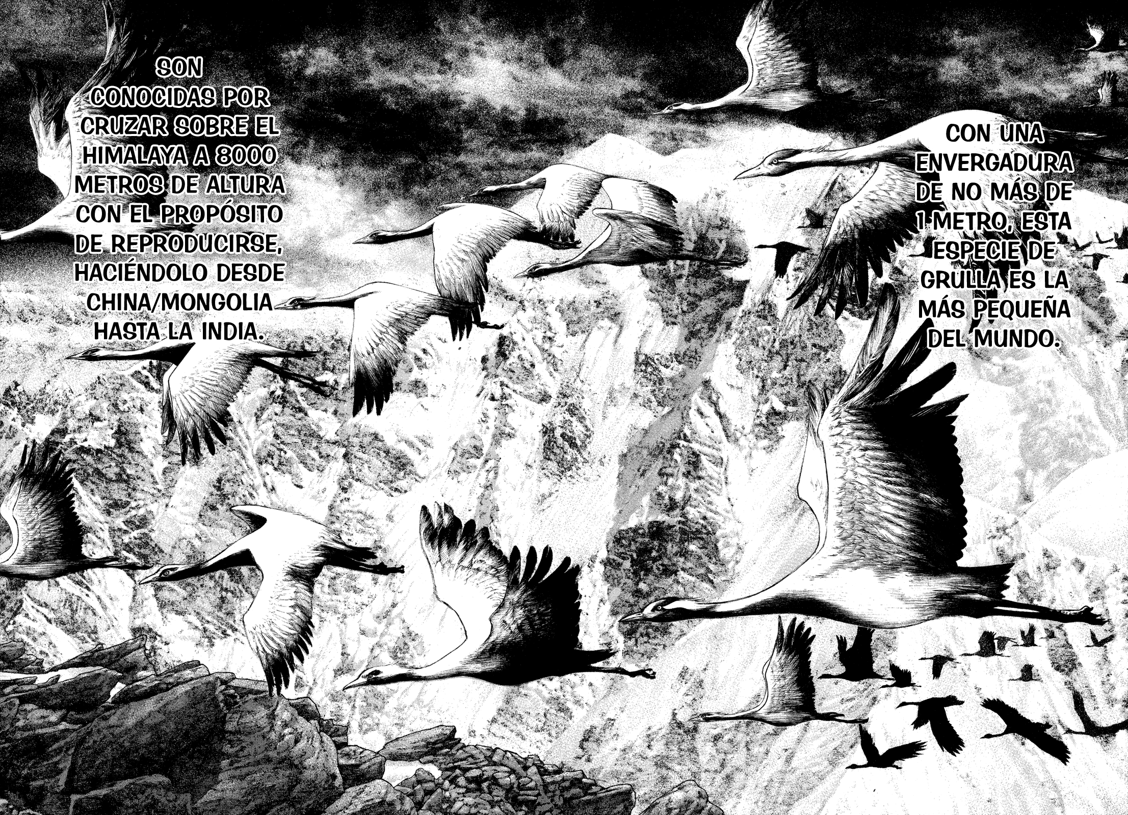 Read The Climber ES Manga Online