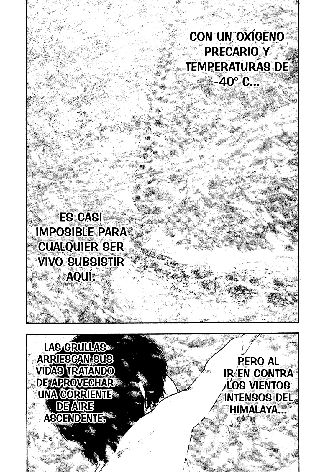 Read The Climber ES Manga Online