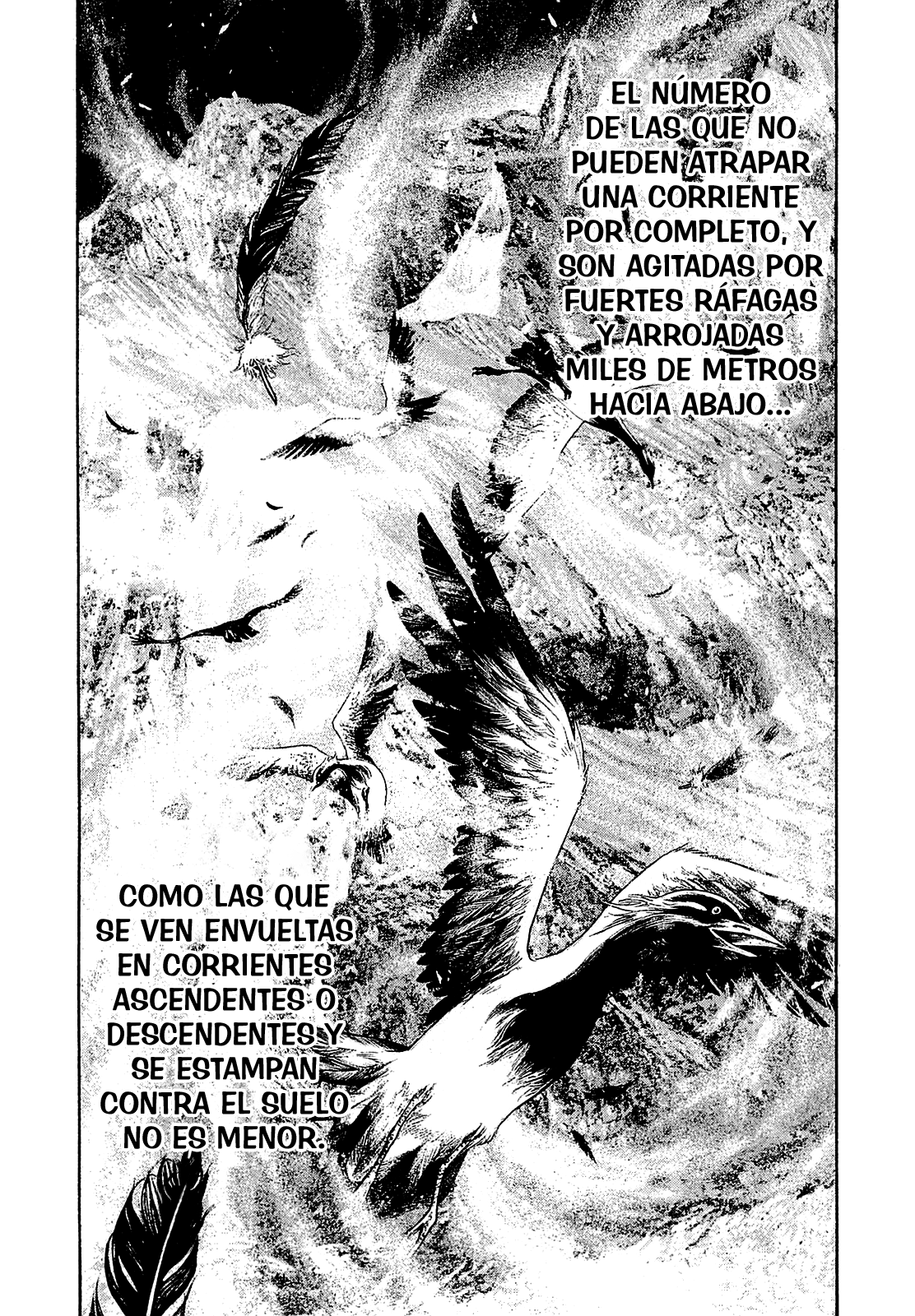 Read The Climber ES Manga Online