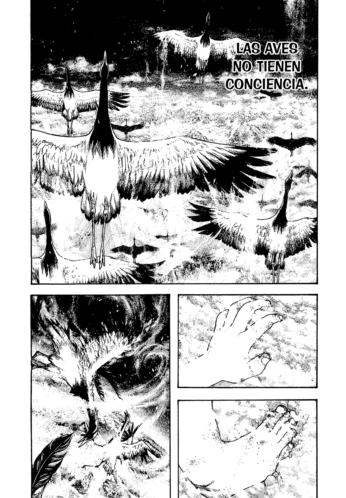 Read The Climber ES Manga Online