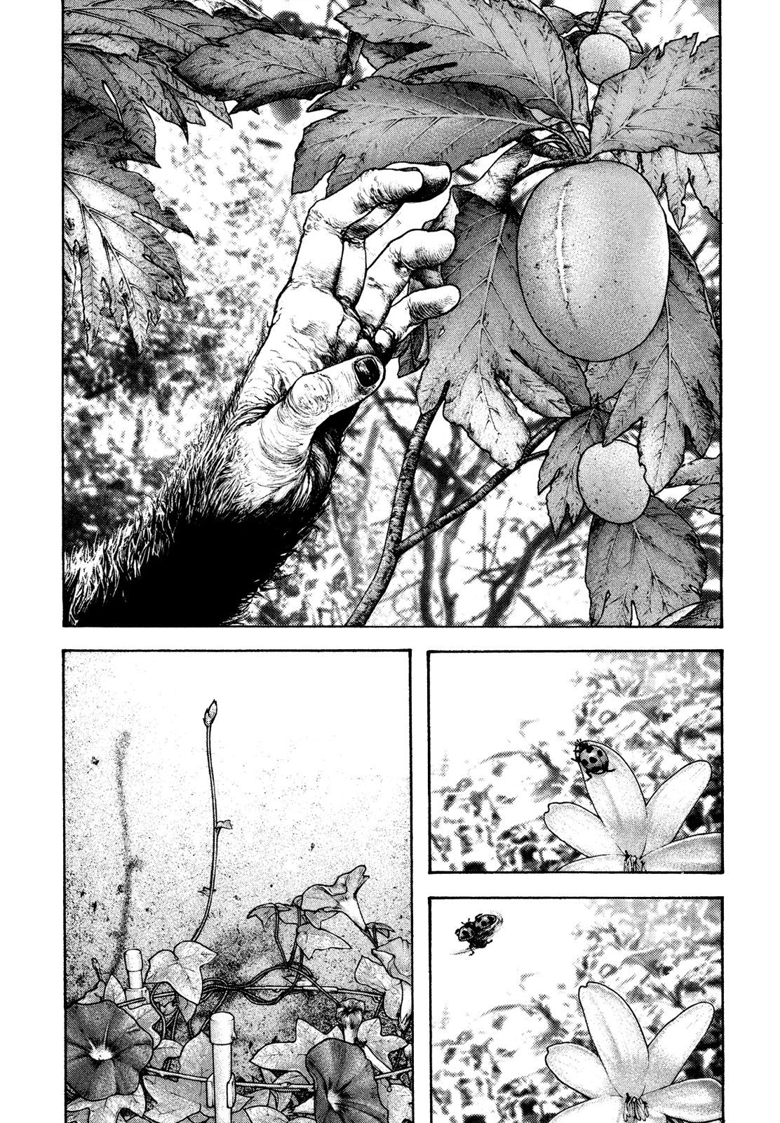 Read The Climber ES Manga Online